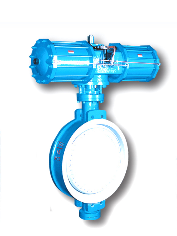 XURI Concentric Butterfly Valve