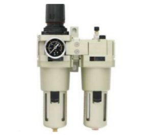 Dual Filter - XURI Valve | Industrial Valve Manufacturer