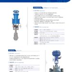 Globe Style Control Valve