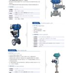 Globe Style Control Valve