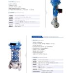 Globe Style Control Valve