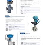 Globe Style Control Valve
