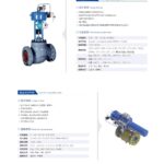 Globe Style Control Valve