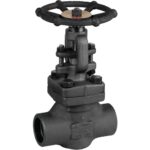 Globe Valve