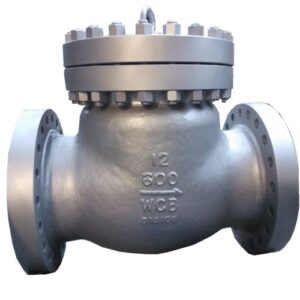 12 Inch Check Valve - XURI Valve | Industrial Valve Manufacturer