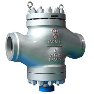 Spring Loaded Lift Check Valve - XURI Valve | Industrial Valve Manufacturer