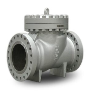 Stainless Steel Flanged Check Valve - XURI Valve | Industrial Valve Manufacturer