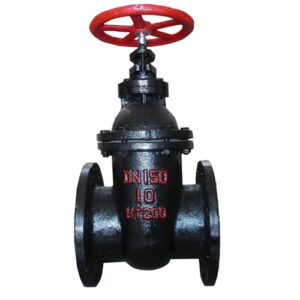 Double Disc Gate Valve - XURI Valve | Industrial Valve Manufacturer