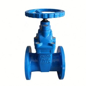 Resilient Wedge Gate Valve - XURI Valve | Industrial Valve Manufacturer
