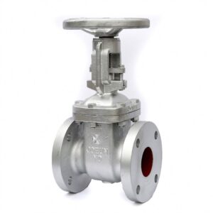 Soft Seal Gate Valve - XURI Valve | Industrial Valve Manufacturer