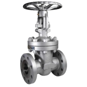 Super Duplex Stainless Steel Gate Valves - XURI Valve | Industrial Valve Manufacturer