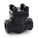1 Inch Check Valve - XURI Check Valve - View 2