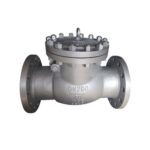 8 Inch Check Valve - XURI Check Valve - View 2