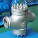 Spring Loaded Lift Check Valve - XURI Check Valve - View 1