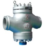 Spring Loaded Lift Check Valve - XURI