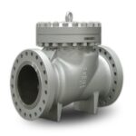 Stainless Steel Flanged Check Valve - XURI