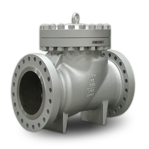 Stainless Steel Flanged Check Valve - XURI