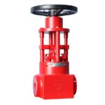 10 Inch Gate Valve - XURI