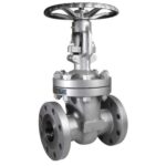 Double Disc Gate Valve - XURI Gate Valve - View 1