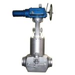 Forged Steel Gate Valve - XURI