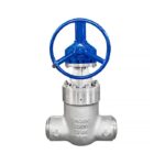 Resilient Wedge Gate Valve - XURI Gate Valve - View 1