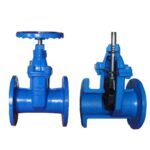 Soft Seal Gate Valve - XURI Gate Valve - View 1