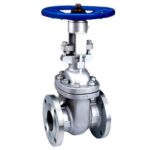 Solid Wedge Gate Valve - XURI Gate Valve - View 1