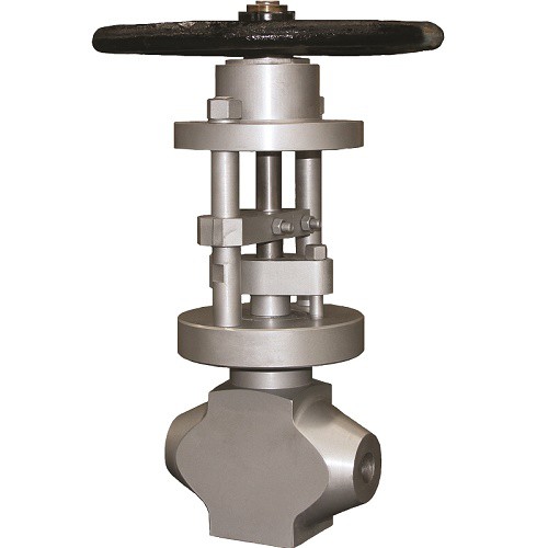 Forged Steel Globe Valve - XURI